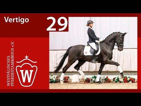 29 Vertigo Wallach v. Vitalis - De Niro