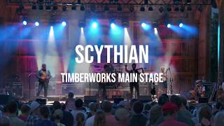 Appaloosa 2018 - Scythian (New York Girls)