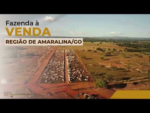 Fazenda à venda em Amaralina/GO