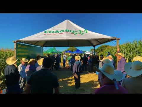 COAGRU INFORMATIVO