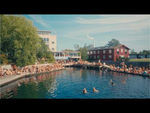 Where The City Meets The Wild