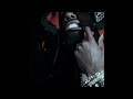 Playboi Carti EVIL JORDAN POPULAR TIKTOK REMIX