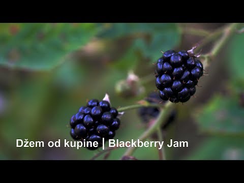 Džem od kupine | Blackberry Jam - (4K)