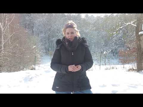 Hilfe zur Selbsthilfe bei Angst und Panik - 1. Schritte