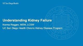 Understanding Kidney Failure