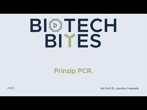 Biotech-Bites - PCR.