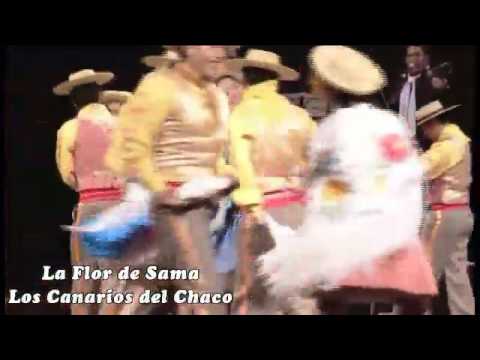 La flor de Sama - Los Canarios del Chaco