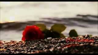 ♫♥*´¨`*•.¸¸.♫ Elisa &amp; Tiziano Ferro -  E scopro cos&#39;è la felicità
