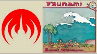 Zeuhl - Benoît Widemann - Des îles