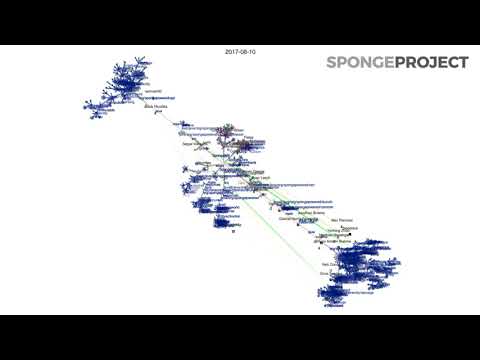 SpongePowered Visualisation 2021-08-29