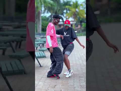 This dance 😂😂😂 #dance #zayra #bluefamliy