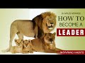 Dr Myles Munroe HOW TO BECOME A LEADER Break Away From Your Struggling Mindset POWERFUL