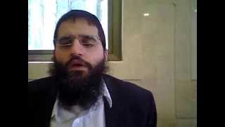 פרשת אחרי מות-קדושים - למה הקב"ה ברא משוגעים בעולם?