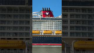 Does Disney Wish Always Play This Musical Horn Last?!? 🧐