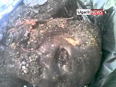 قتل وحرق جثمان الشاب( حمزة البكر) اثناء اجتياح الجيش مدينة درعا من قبل قوات النظام الذي كان يعمل حارساً