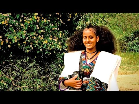 Alemayehu Hafte - laza' welela  / New Ethiopian Tigrigna Raya Music (Official Video)