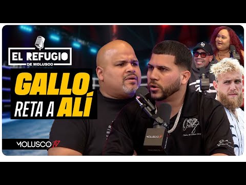 Gallo the producer reta a Alí a Pelear /Descarga a Jake Paul y Arcangel / Dalex le tira a Corcino