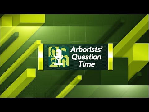 Arborists' Question Time (Episode 1)