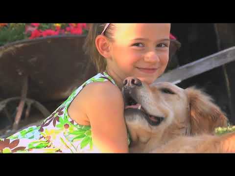 Video: Good Morning Suncoast 5am hour September 14, 2018