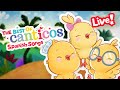 Canticos Best Hits LIVE Spanish Songs For Kids Learn Spanish Canticos  Animals  Song