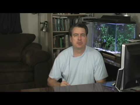 Has the Jehovah's Witnesses' god performed the greatest act of love?