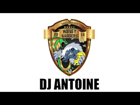 We Don't Care (Like a Honey Badger) - DJ Antoine