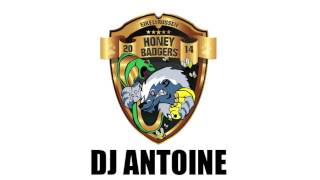 We Don't Care (Like a Honey Badger) - DJ Antoine