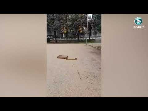 ENNESIMO ATTO VANDALICO AL BIKE PARK DELL’AVIS RUVO