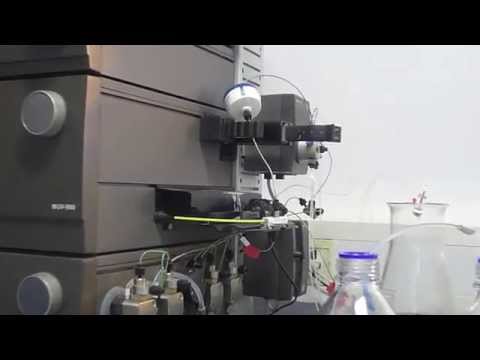 Interfaces - qPCR detection of pathogenic enteric viruses from seawater (Mukundh Balasubramanian)