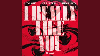 Download lagu I Really Like You mp3 Download lagu I Really Like You mp3
