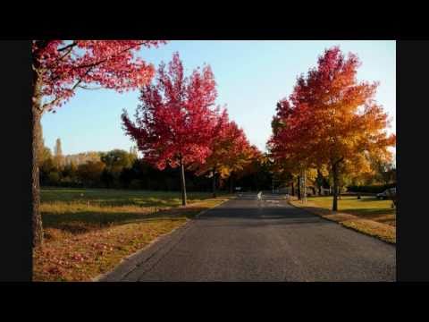 Rick Shea and Brantley Kearns - Let my horses run free