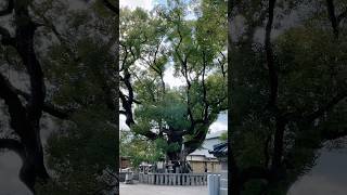 Download lagu Kumata Shrine mp3