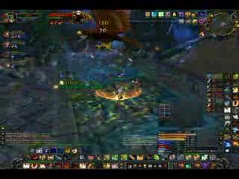 ZA - Zul'jin Protection Paladin Tank Sobre Zul'Aman