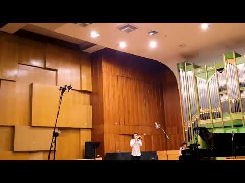 Mirel Liță - Ferdinand David, Concertino