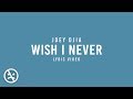 JOEY DJIA Wish I Never And If I could