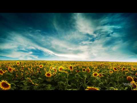 Poshout feat Victoria Raznyh - Fallen World (Ilya Soloviev Dub Mix) HD