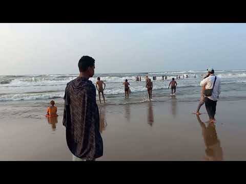 GOLDEN BEECH PURI 05/10/2023