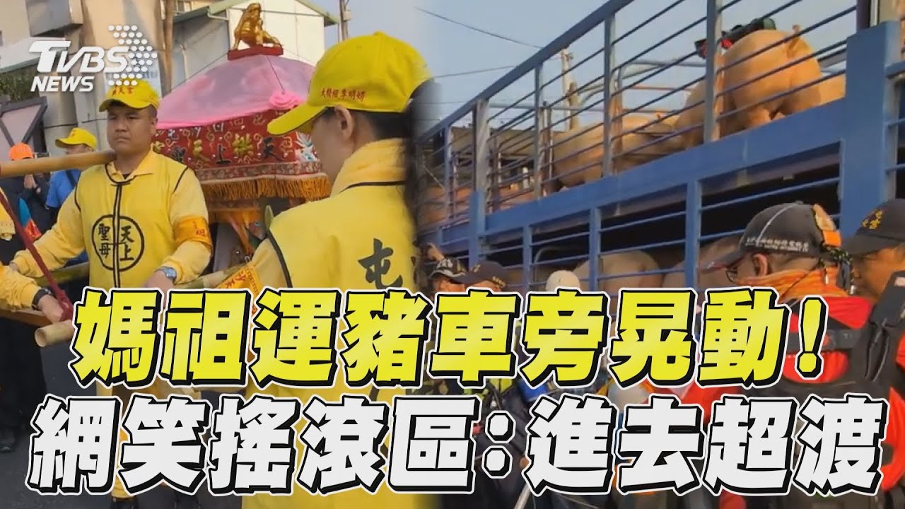 影音/白沙屯媽祖鑾轎運豬車旁晃動 網笑「在搖滾區」:進去超渡