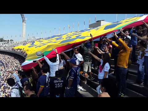 "Telón Pumas Rebel vs Veracruz Apertura 2015" Barra: La Rebel &bull; Club: Pumas