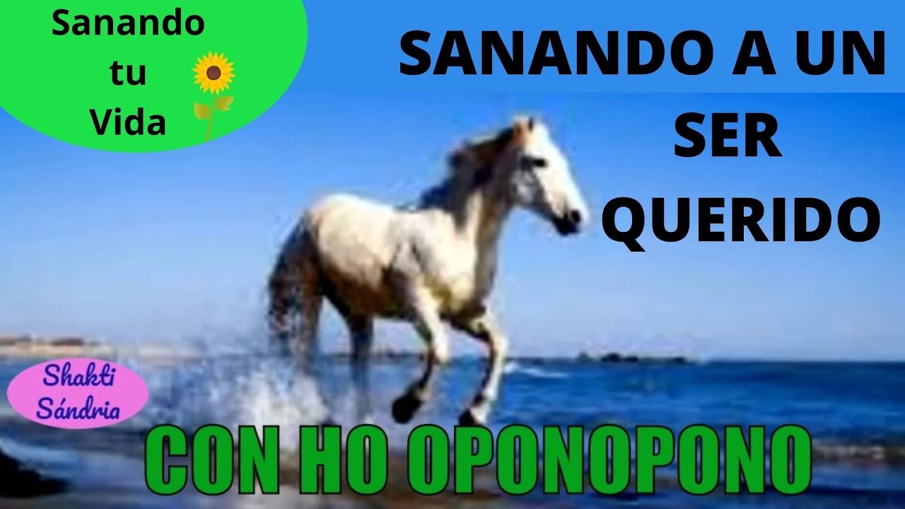 ¡SANÁNDOME Y 🆂🅰🅽🅰🅽🅳🅾 🅰 🆄🅽 🆂🅴🆁 🆀🆄🅴🆁🅸🅳🅾 CON HO OPONOPONO! 😘✨🌻- Autor Shakti Sándria