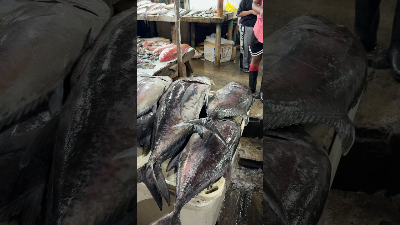 YouTube Short thumbnail