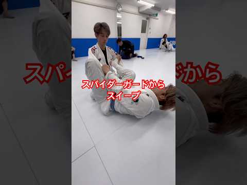 ［柔術テクニック］スパイダーガードからスイープ#jiujitsu #ブラジリアン柔術 #bjj #柔術