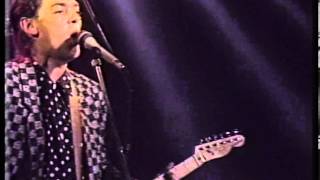 Robyn Hitchcock - Brendas Iron Sledge - (Gotta Let This Hen Out, 1985)