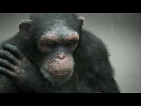 PETA - "98% Human" (BBDO New York)