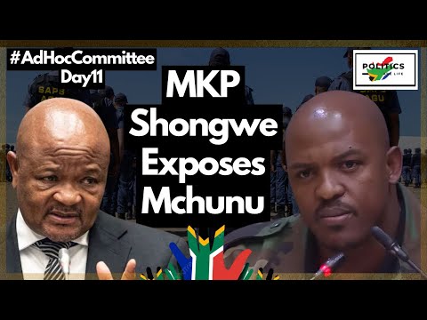 Mchunu Exposed For Lying To Parliament by MKP Shongwe