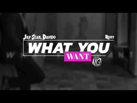 Jay Sean, Davido - What You Want (NG Remix)