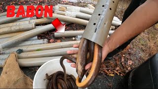 Download lagu Cara Memasang Bubu Belut Untuk Dapat Hasil Yang Besar - Video (2020) mp3 Download lagu Cara Memasang Bubu Belut Untuk Dapat Hasil Yang Besar - Video (2020) mp3
