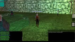 EverQuest Project 1999 How-To Guide: Considering