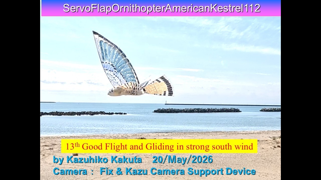 小さなサーボ駆動羽ばたき機　SFOAmericanKestrel112　RP2040 Tiny 22g 13th Good Flight & Gliding in strong south wind
