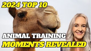 2024 Top 10 Animal Training Moments: Unveiling Valuable Lessons Learned!